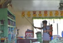 DOH bares cost-effective tactic vs dengue