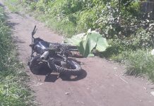 Talisay local shot to death