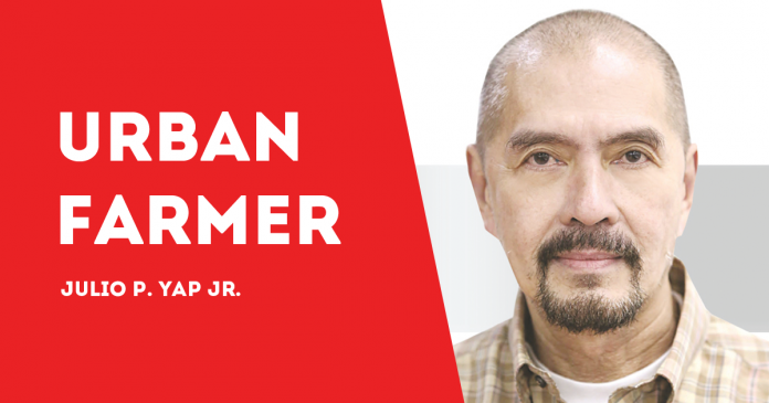 URBAN FARMER JULIO YAP