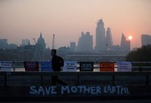 IN HOT WATER: Study says warming may reduce sea life by 17%