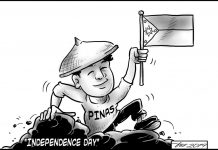 For love of country