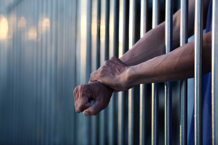 Arrest 6