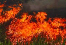 Wildfires hit central Portugal More than 1,000 firefighters battled three blazes sweeping across central Portugal early on Sunday, July 21, 2019 prompting authorities to partially evacuate a village and leaving one person with severe injuries. NSTP Archive