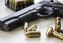 Guard nabbed for gun