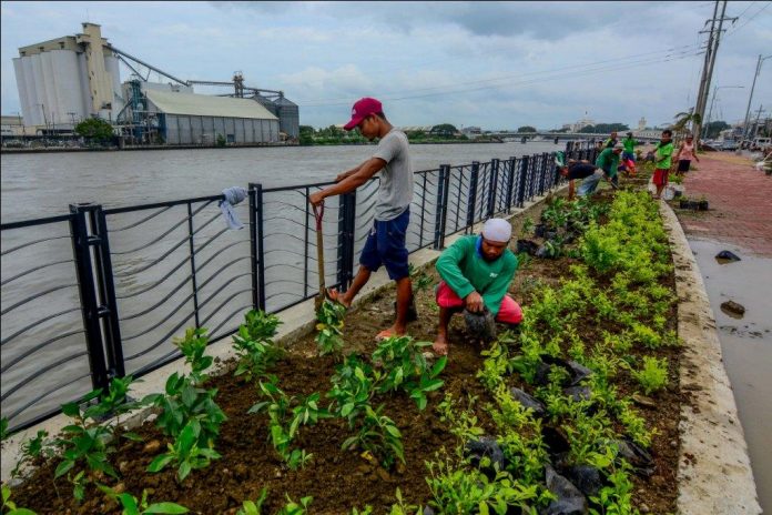 This new part of Iloilo City’s river esplanade is located along Muelle Loney in the City Proper overlooking the Iloilo River. It will be inaugurated today, July 27, 2019. The Iloilo Esplanade’s first phase, 1.2 kilometers long from Sen. Benigno Aquino Jr. Avenue to Carpenter’s Bridge in Mandurriao district, was opened to the public in August 2012. Today’s inauguration of four more completed phases would bring to 8.1 kilometers the total length of the esplanade. IAN PAUL CORDERO/PN