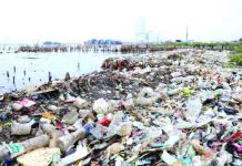 Indonesia delays approval for levy on plastic bags Rubbish, most of which is plastics, is seen along a shoreline in Jakarta, Indonesia, June 21, 2019. REUTERS