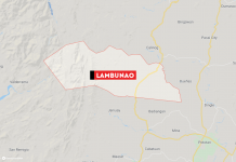 20 students in Lambunao victims of food poisoning?