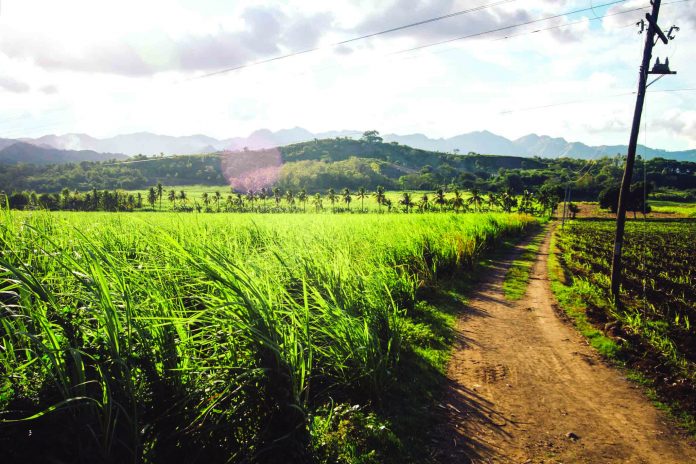 LandBank agrarian reform beneficiaries LandBank’s president and CEO Cecilia Borromeo said: “LandBank is committed to serve farmers and fishers, including agrarian reform beneficiaries, in fulfillment of our mandate and pursuit of promoting growth in the countryside.” LAND PORTAL