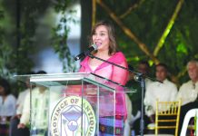 Bills seek to create Antique high school for arts, protected seascape and landscape Antique Cong. Loren Legarda
