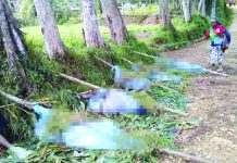 24 killed in Papua New Guinea tribal massacre Women, some pregnant, and children killed in tribal massacre in Papua New Guinea. PILLS PIMUA KOLO VIA NEWS.COM.AU