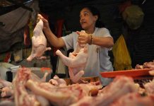 Iloilo protocols regulate poultry and its products Photo for representation only. Courtesy to POULTRY MANUAL