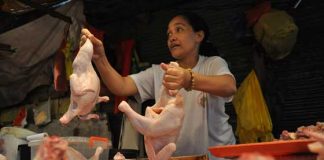 Photo for representation only. Courtesy to POULTRY MANUAL