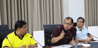 The 18th Sangguniang Panlalawigan of Aklan delegated the chairpersonships for its 24 committees during the inaugural session on July 8. AKEAN FORUM