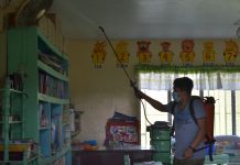 Pavia conducts residual spraying vs mosquitoes