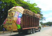 The Philippine National Police-Highway Patrol Group (HPG) requires sugarcane truck operators in Negros Occidental to use canvas covers to prevent spillage of canes on the roads. Provincial HPG chief Captain Robelito Mariano said the move is a way to curb accidents and ensure that roads are safe during the milling season. PNA