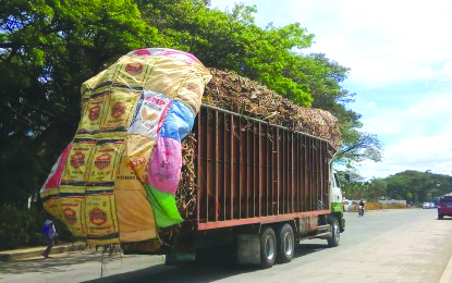 Sugarcane The Philippine National Police-Highway Patrol Group (HPG) requires sugarcane truck operators in Negros Occidental to use canvas covers to prevent spillage of canes on the roads. Provincial HPG chief Captain Robelito Mariano said the move is a way to curb accidents and ensure that roads are safe during the milling season. PNA