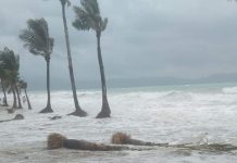 Boracay rehab needs more time – Task force
