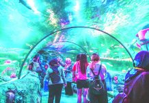 SEA LIFE Malaysia officially opens at LEGOLAND Malaysia Resort