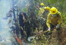 World leaders vow to help Brazil fight fires, repair damage Firefighters work to put out fires in the Vila Nova Samuel region, along the road to the National Forest of Jacunda, near to the city of Porto Velho, Rondonia state, part of Brazil's Amazon, Sunday, Aug. 25, 2019. AP