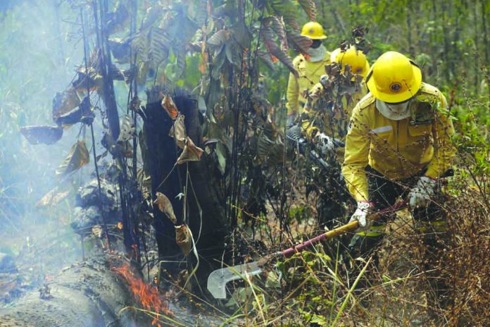 Amazon Fire Firefighters work to put out fires in the Vila Nova Samuel region, along the road to the National Forest of Jacunda, near to the city of Porto Velho, Rondonia state, part of Brazil's Amazon, Sunday, Aug. 25, 2019. AP
