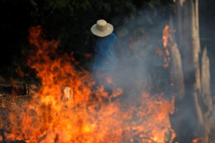 Amazon Fire A man works in a burning tract of Amazon jungle as it is being cleared by loggers and farmers in Iranduba, Amazonas state, Brazil, August 20, 2019. Reuters