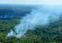 ‘Amazon rainforest fire an int’l crisis’ French President Emmanuel Macron says the record number of fires in the Amazon rainforest is an “international crisis” that needs to top the agenda at this weekend’s G7 summit. SLATE.COM
