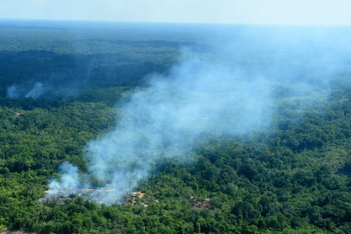 Amazon rainforest fire French President Emmanuel Macron says the record number of fires in the Amazon rainforest is an “international crisis” that needs to top the agenda at this weekend’s G7 summit. SLATE.COM
