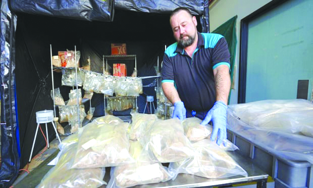 Australia drug bust Some of the 766kg of MDMA powder seized in Queensland. Police estimate it could have made up to 12m pills. QUEENSLAND POLICE