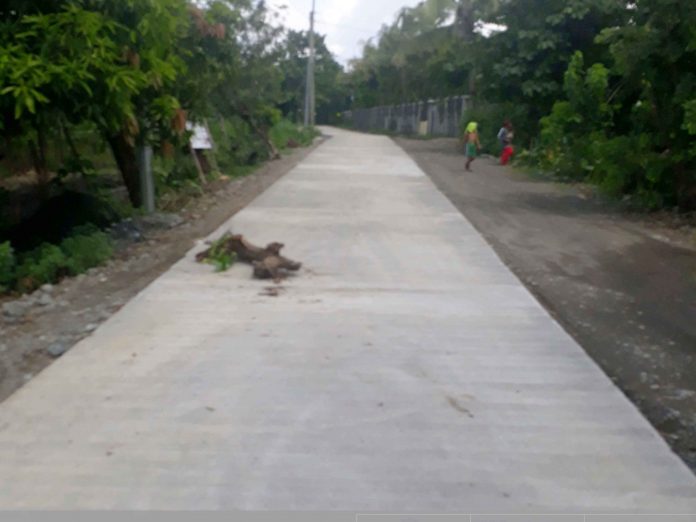 Barotac Nuevo DPWH Road concreting in Brgy. Bungca-Suhoton, Barotac Nuevo, Iloilo leading to Mt. Salihid, where a sacred shrine is found inside a cave. Said shrine is one of the visited destinations in the province especially during Holy Week. Photo courtesy of DPWH, Iloilo 2nd DEO.