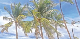 SERENE. Boracay is a scenic getaway, an idyllic paradise that boasts a 4-kilometer stretch White Sand Beach.