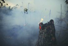 Brazil to reject G7 money to fight amazon fires A tree stump glows with fire amid smoke along the road to Jacunda National Forest, near the city of Porto Velho in the Vila Nova Samuel region which is part of Brazil's Amazon, Monday, Aug. 26, 2019. AP