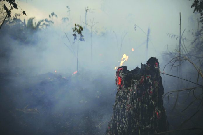 Brazil Amazon Fire A tree stump glows with fire amid smoke along the road to Jacunda National Forest, near the city of Porto Velho in the Vila Nova Samuel region which is part of Brazil's Amazon, Monday, Aug. 26, 2019. AP