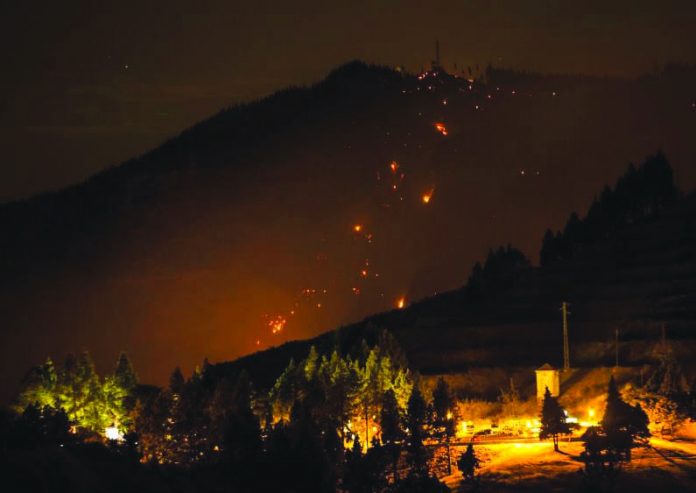 Canary Islands Wildfire Workers of a wedding hall inspect after a blast in Kabul, Afghanistan Aug., 2019. REUTERS