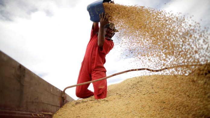 Chinese companies have stopped buying agricultural products from the United States Chinese companies have stopped buying agricultural products from the United States. REUTERS