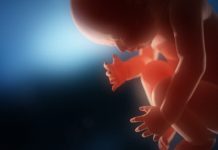 Fetus found