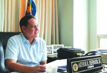 Gov. Arthur Defensor Jr. PNA