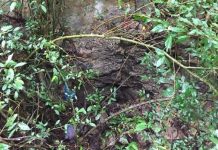 DENR warns Jordan residents of sinkhole Office of Civil Defense Regional Director Jose Roberto Nuñez led the ocular inspection of the sinkhole in Sitio Nagub-an, Brgy. Sta.Teresa, Jordan, Guimaras on August 22. Photo by Office of Civil Defense Region 6