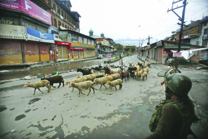 Kashmiri Livestock Indian paramilitary soldiers guard as a Kashmiri livestock seller crosses a street ahead of Eid al Adha during a security lock down in Srinagar, Indian controlled Kashmiri, Saturday, Aug. 10, 2019. AP
