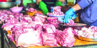 The province of Negros Occidental, the country’s top producer of backyard swine, is enforcing strict regulations in the sale of frozen meat products. Provincial Veterinarian Renante Decena says they sought the cooperation of all local executives to keep Negros Occidental free from the threat of African swine fever. GMA NEWS