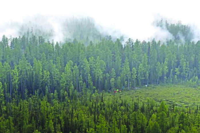 This image made from video provided by RU-RTR Russian television channel shows a view of a forest fire in the Boguchansky district of the Krasnoyarsk region, Russia Far East, Wednesday, July 31, 2019. AP