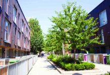 Experts urge the use of waste water to save street trees Watering is critical in the first three years of a tree’s life. New street trees need at least 20 liters of water a week, especially in hot weather.