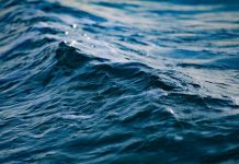 Fisherman drowns in Manapla