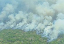 Brazil’s Bolsonaro to send army to fight Amazon fires Russian President Vladimir Putin speaks at a meeting with members of the Security Council in the Kremlin in Moscow, Russia, Friday, Aug. 23, 2019. AP