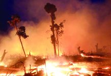 Are fires in the Amazon and elsewhere getting worse? PHOTO BY REUTERS