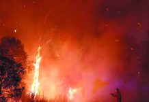 Australians flee homes after ‘suspicious’ fires A supplied image obtained September 10, 2019 shows firefighters battling a bushfire in Peregian Springs on the Sunshine Coast, Australia, September 9, 2019. AAP IMAGE/JOHN PARK VIA REUTERS
