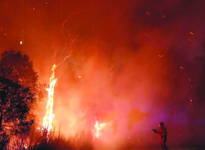 Australia Fire A supplied image obtained September 10, 2019 shows firefighters battling a bushfire in Peregian Springs on the Sunshine Coast, Australia, September 9, 2019. AAP IMAGE/JOHN PARK VIA REUTERS