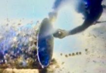 Boracay Tubi assures ‘no discharge’ of untreated wastewater off sea A diver gets an actual water sample at an outfall in Boracay Island on Sept. 21. AKEAN FORUM