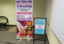 Travelers told: Don’t bring pork to NegOcc Signage and a footbath are set up at the arrival area of the Bacolod-Silay Airport in Silay City, Negros Occidental to remind travelers on the threat of African swine fever (ASF). PNA
