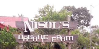 Nisol’s is a small farm but has big ideas in it