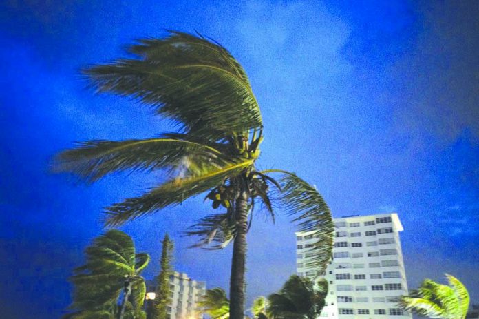 Strong winds move the palms of the palm trees at the first moment of the arrival of Hurricane Dorian in Freeport, Grand Bahama, Bahamas, Sept. 1, 2019. AP